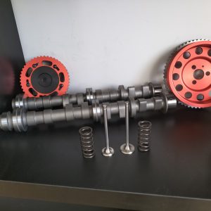 ARBRE A CAM STAGE 3 GEMELLI