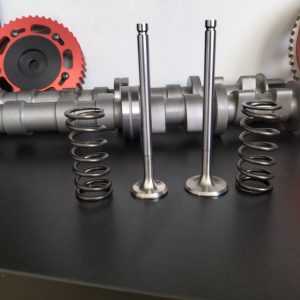 SOUPAPES NIMONICS (16)